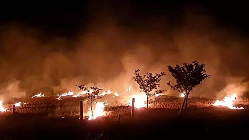 Centre doubles fines for stubble burning