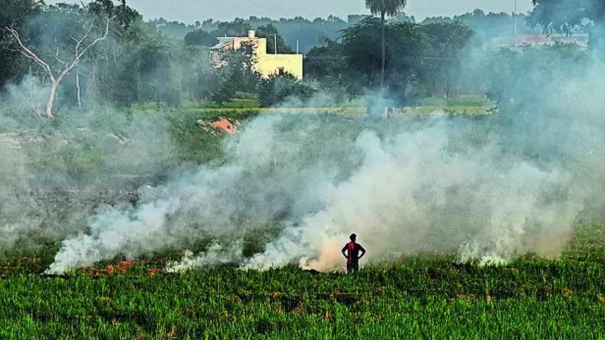 Centre doubles penalty for stubble burning