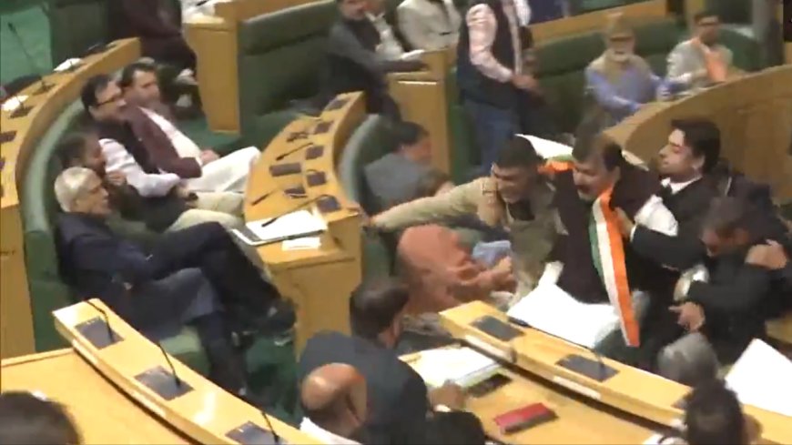 Watch: Ruckus in J&K assembly continues for 3rd day; BJP MLAs storm well of House