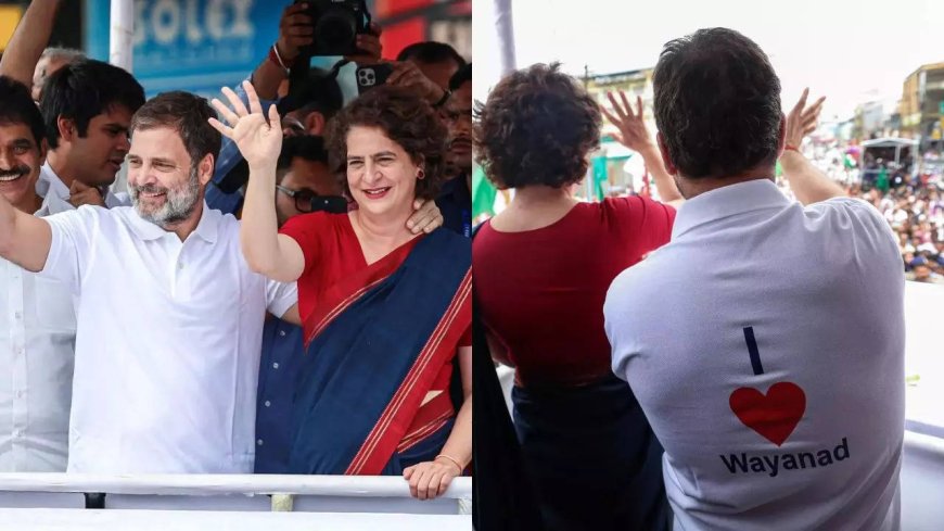 'Never used it for years': Rahul Gandhi on what inspired him to bring 'love' into politics