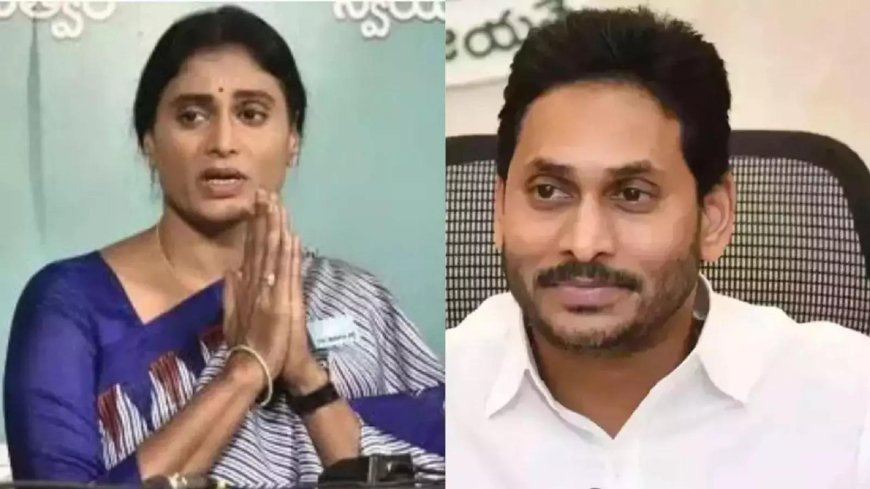 'Jagan encouraged indecent posts against me': Sharmila targets brother over social media attack
