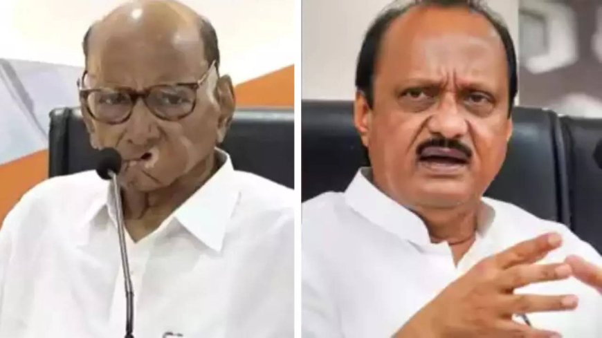 Ajit Pawar defends split with Sharad Pawar, says left saheb as MLAs wanted to join govt to restart stalled development works