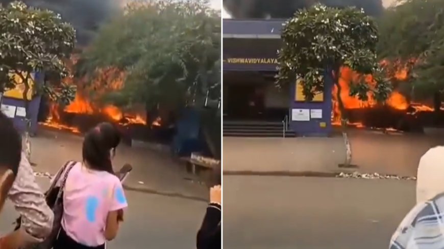 Video: Massive fire at popular food van near Delhi Metro station