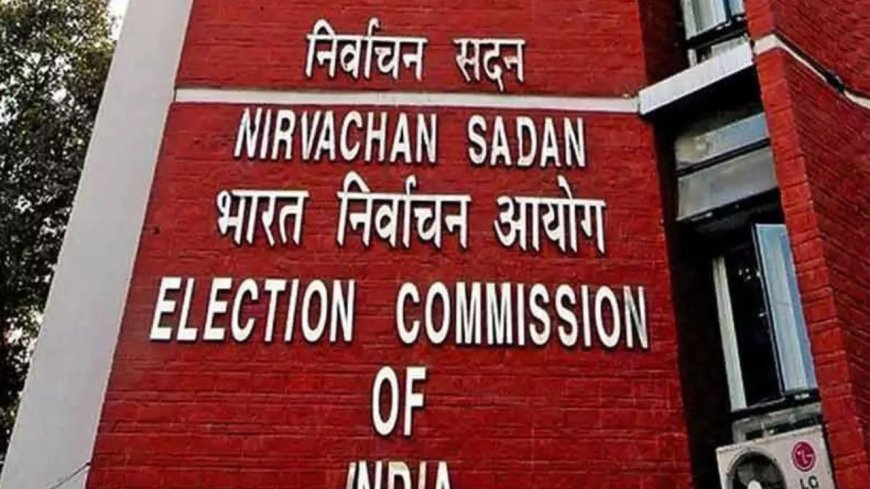 Typos, says Election Commission, admits to data errors