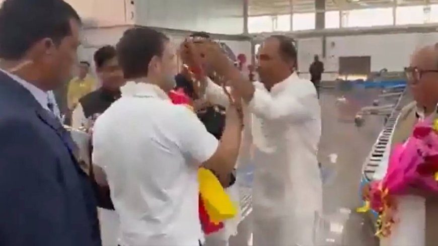 'Gandhi family exploiting Dalits as a vote bank': BJP accuses Rahul of casteism; See video