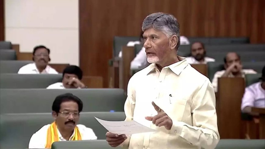 'Will act after studying US indictment': TDP's Naidu on alleged bribery scandal involving Adani, YSRCP
