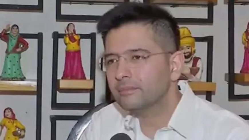 Punjab Assembly by-poll results are 'very encouraging' for AAP: Raghav Chadha