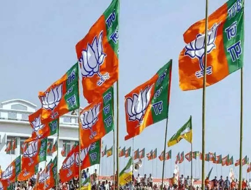 BJP retains stronghold in Nashik city, wins all 3 seats