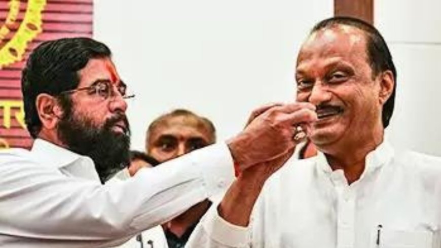 Maharashtra elections: Eknath Shinde credits 'bahin, bhau, farmers' for landslide victory