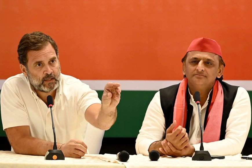Rahul Gandhi, Akhilesh Yadav slam BJP over Sambhal violence, blame govt