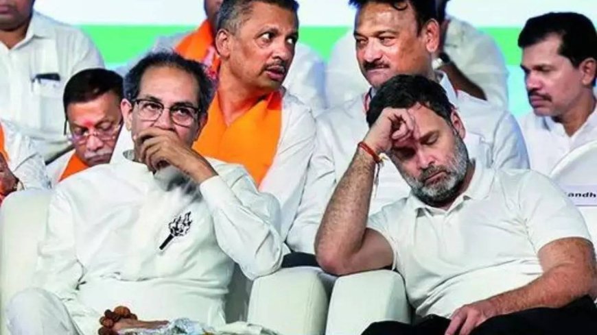 Sena(UBT) mouthpiece dubs Mahayuti victory 'lucky draw', says 'EVM hai toh mumkin hai'