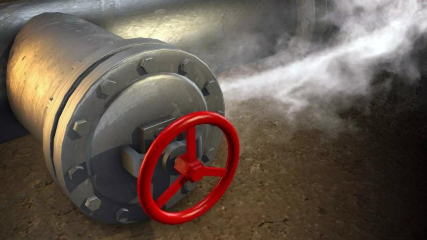 1 dead, 9 taken ill as toxic gas leaks in Andhra Pradesh's pharma company