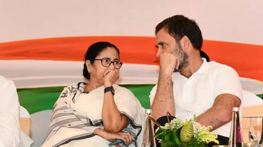 'TMC wants Parliament to run': Mamata Banerjee's party opposes INDIA bloc strategy