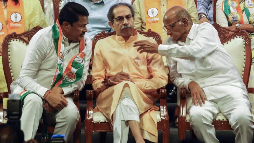 After 'Maha' drubbing, Sena (UBT) leader hints at going solo in future polls