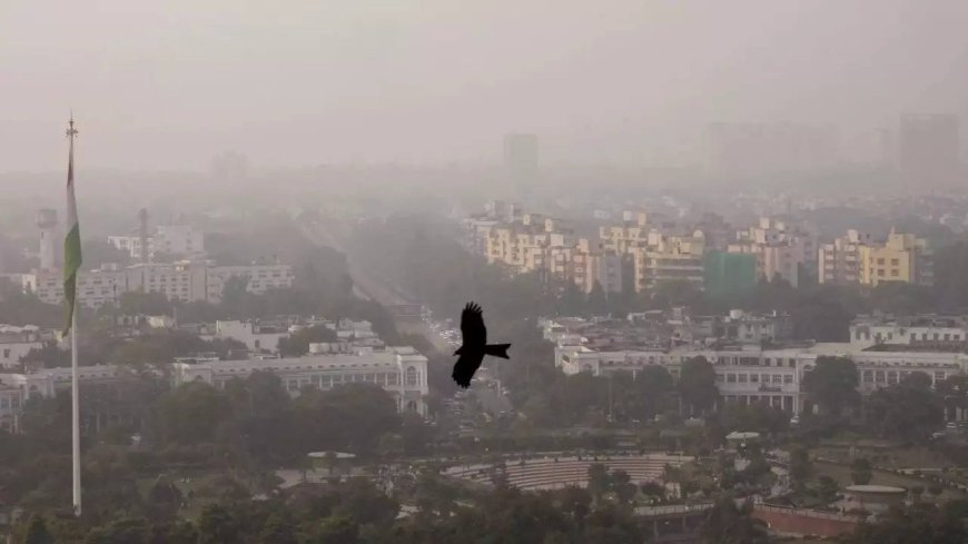 Air pollution: GRAP-4 measures except for schools to continue in Delhi-NCR till December 2, says SC