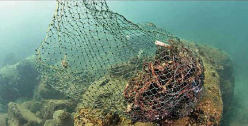 250kg of debris cleared from Sindhudurg reefs