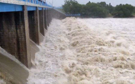 Watch: Veedur dam overflows as Cyclone Fengal hits Tamil Nadu, 10 villages at flood risk