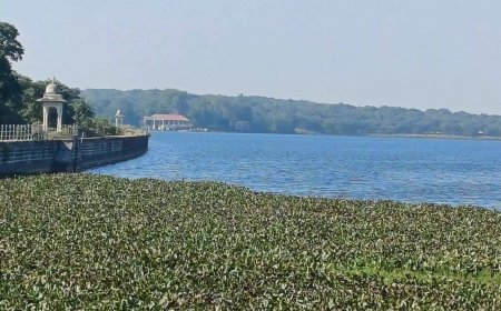 NTCA approval to Madhav as Madhya Pradesh's 9th Tiger Reserve