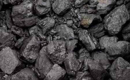 Overall coal production hits 90.62 million tonnes in November 2024: Coal ministry
