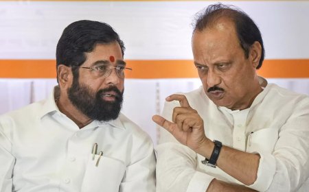 'Party could have won 90-100 seats if not for Ajit Pawar's NCP': Shinde Sena MLA