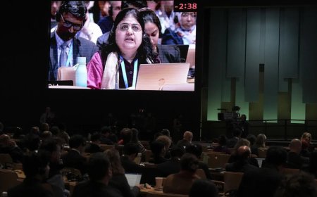 Unpacking India's fuming response at COP29: What really transpired?