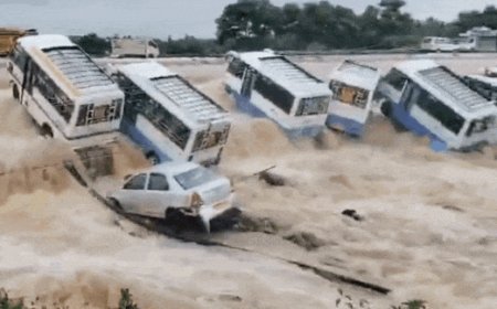 Watch: Vehicles swept away, villages submerged as massive floods wreck havoc in Tamil Nadu