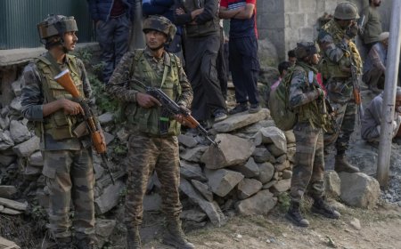 Security forces kill one terrorist in Jammu & Kashmir's Srinagar;  encounter under way