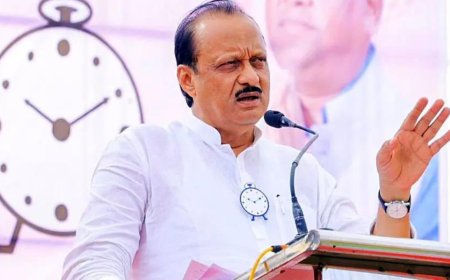 Ajit Pawar likely to meet Amit Shah amid speculations over Maharashtra CM post