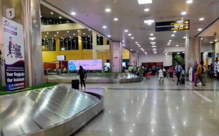 Panic at Lucknow airport after foetus found in courier shipment