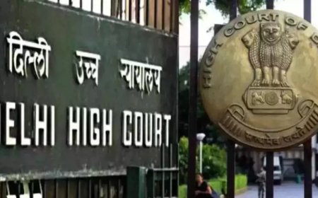 'Nation's harmony not so fragile': Delhi HC grants interim protection to activist Nadeem Khan