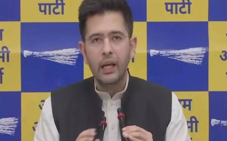Airlines should compensate passengers for flight delays, AAP's Raghav Chadha says in RS
