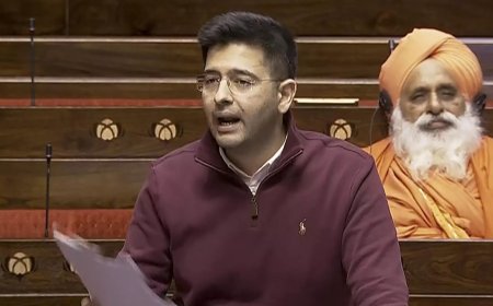 'Economy class is no longer economical': Raghav Chadha highlights air travel woes in Rajya Sabha