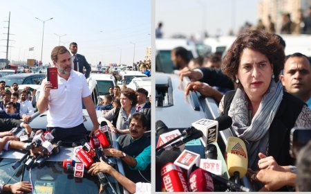 'Ready to go alone': Rahul Gandhi after being stopped mid-way from visiting violence-hit Sambhal