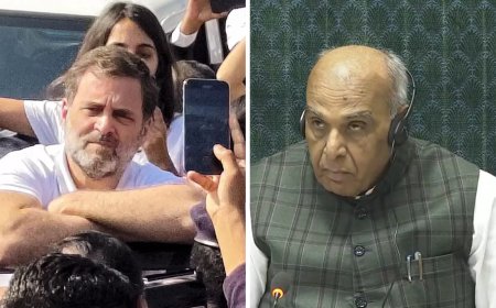 'What is he doing outside?' Acting LS Speaker questions Rahul Gandhi's Sambhal visit attempt; opposition walks out