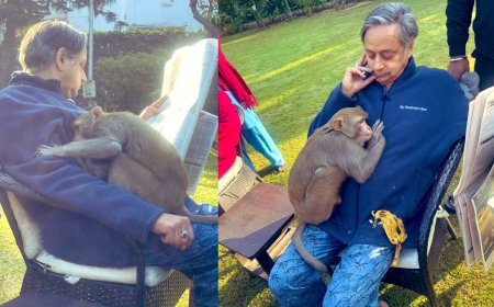 Shashi Tharoor powers through rabies fear to get hugs from monkey