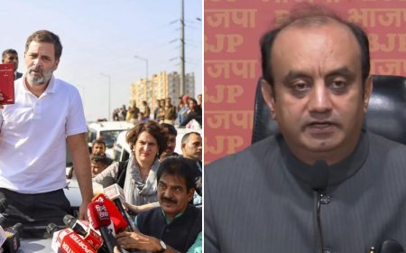 'Only aim to spread communal frenzy': BJP takes aim at Rahul, Priyanka Gandhi's Sambhal visit