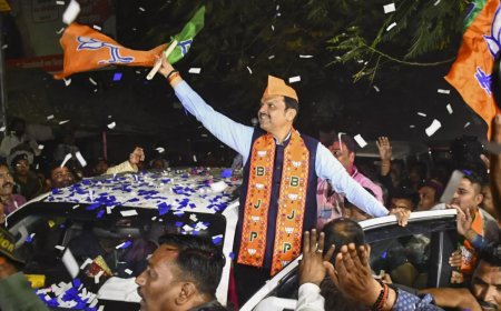 'Laut kar wapis aaunga': Old video of Devendra Fadnavis now viral after Maharashtra CM announcement