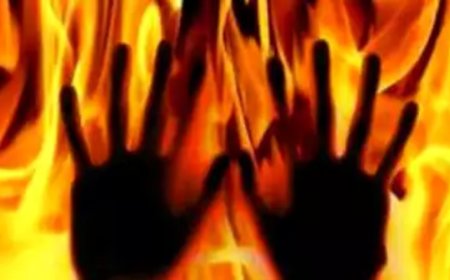 Kerala woman burnt alive after car she is travelling in with colleague set on fire by suspicious husband