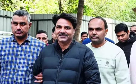 AAP MLA Balyan gets bail in extortion case, re-arrested on MCOCA charges