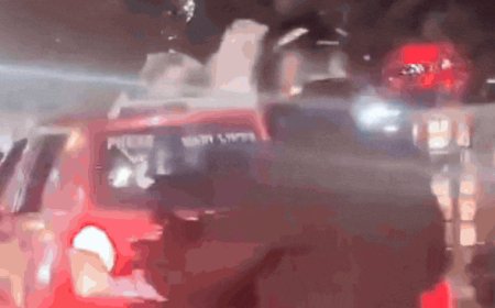 Watch: Bengaluru man drives car with dogs on roof, sparks outrage