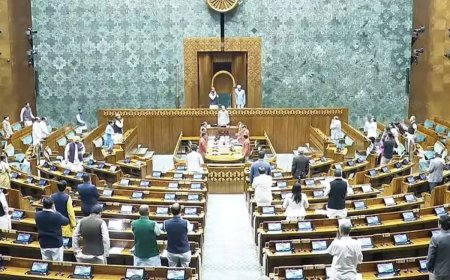 Parliament passes Bharatiya Vayuyan Vidheyak 2024