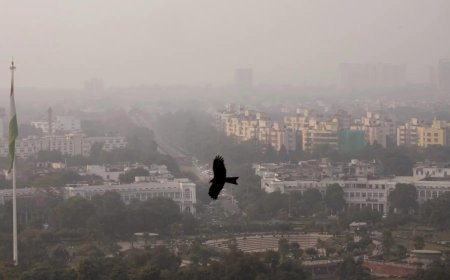 GRAP-4 restrictions in NCR lifted after SC order; AQI improves to ‘moderate’