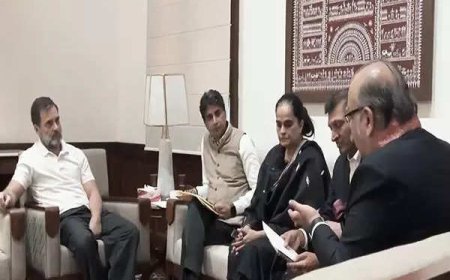 Rahul Gandhi meets environmental delegation, assures to raise 'air pollution' issue in Parliament