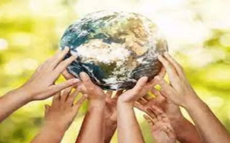 'Unjust, funds inadequate': India's strong stance on climate change case in ICJ