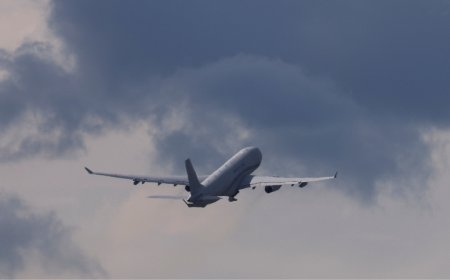 New aviation bill passed after heated debate over Hindi title