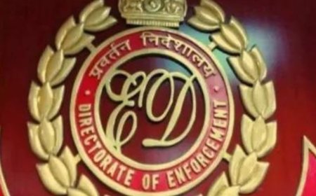 ED seizes 37 horses in cyberfraud case