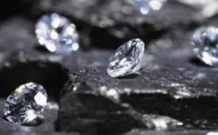 Industry must disclose natural or lab-grown while selling and in advertisements: Consumer secretary