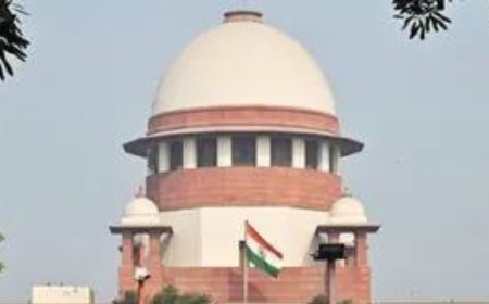 PIL flags job threat to private companies' ICC members