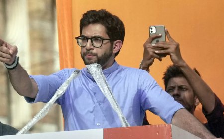 'Democracy being murdered': Shiv Sena (UBT) MLAs skip oath-taking ceremony