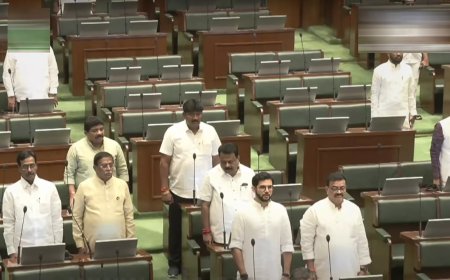 'Democracy being murdered': Maharashtra opposition MLAs skip oath-taking ceremony
